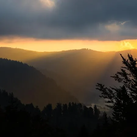 Samy בית נופש