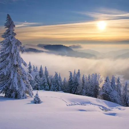 Samy בית נופש