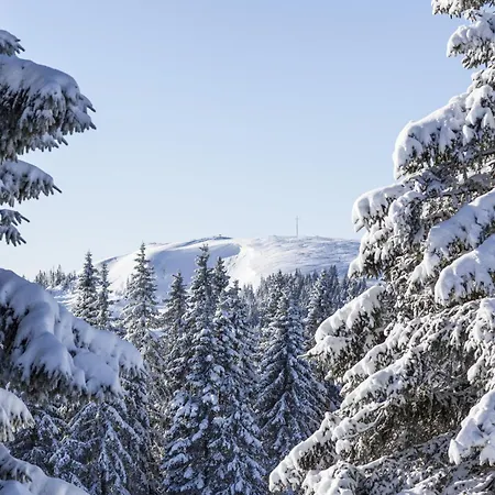 Samy בית נופש פלדברג