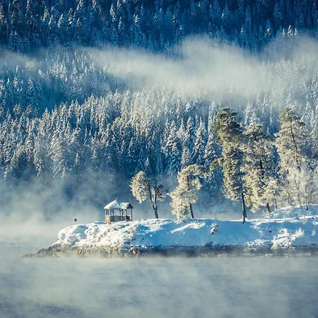 Samy * Feldberg (Baden-Wurttemberg)